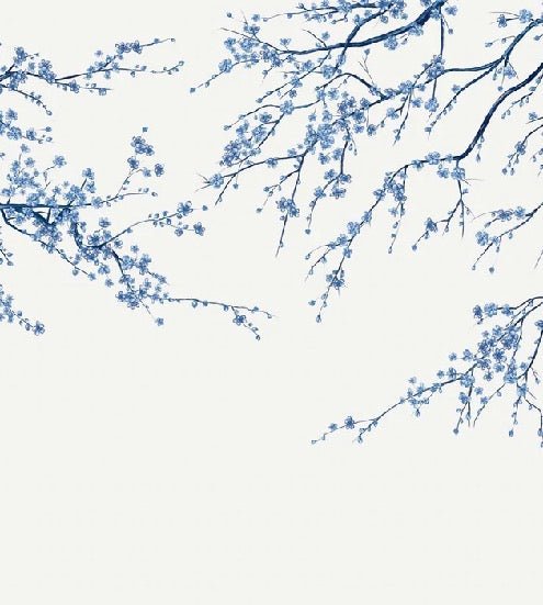 Papier peint panoramique fleur Sakura blanc