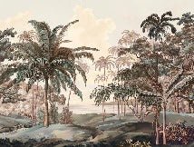 Papier peint paysage Célèbes terra