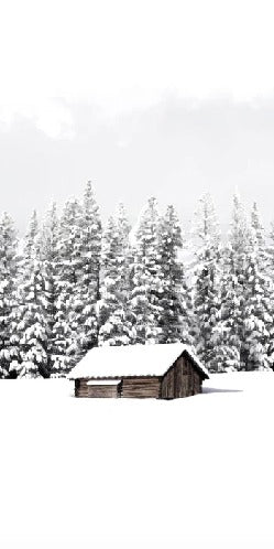 Papier peint panoramique chalet en montagne