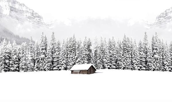 Papier peint panoramique chalet en montagne