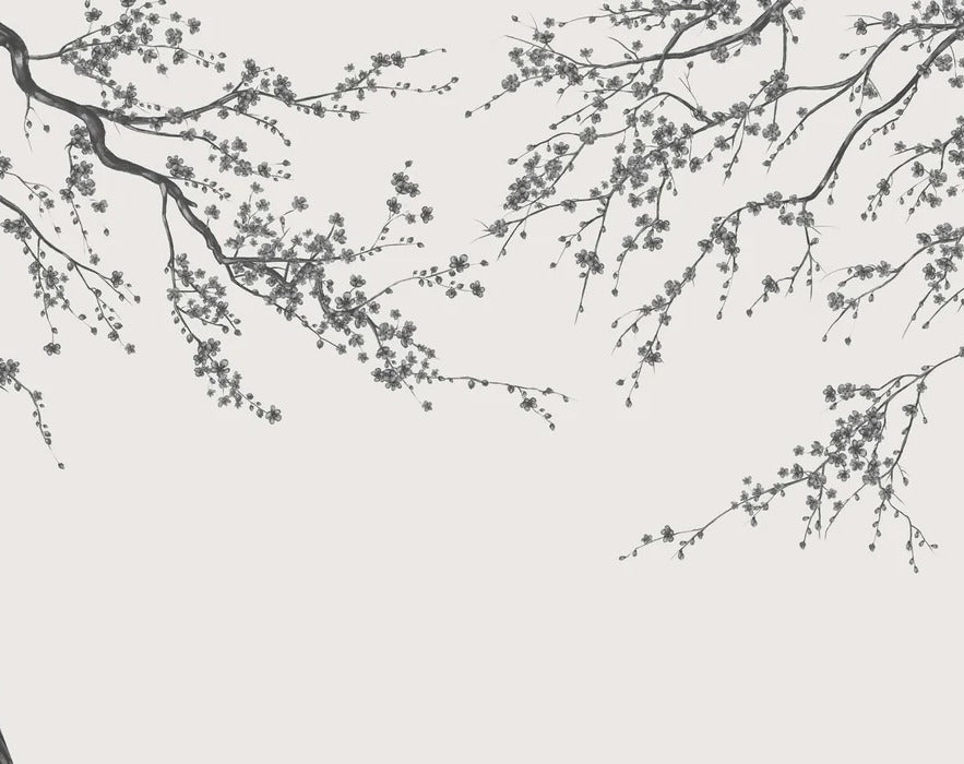 Papier peint panoramique fleur Sakura noir et blanc