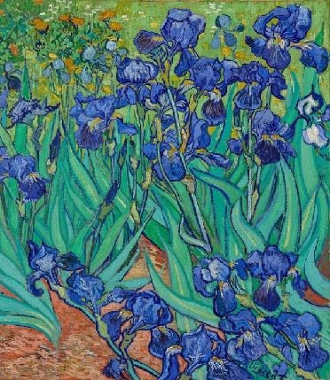 Papier peint fleur Iris, XXL, tendance