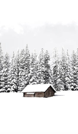 Papier peint panoramique chalet en montagne, XXL, tendance