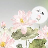 Papier peint orchidée floral romantique, XXL, tendance