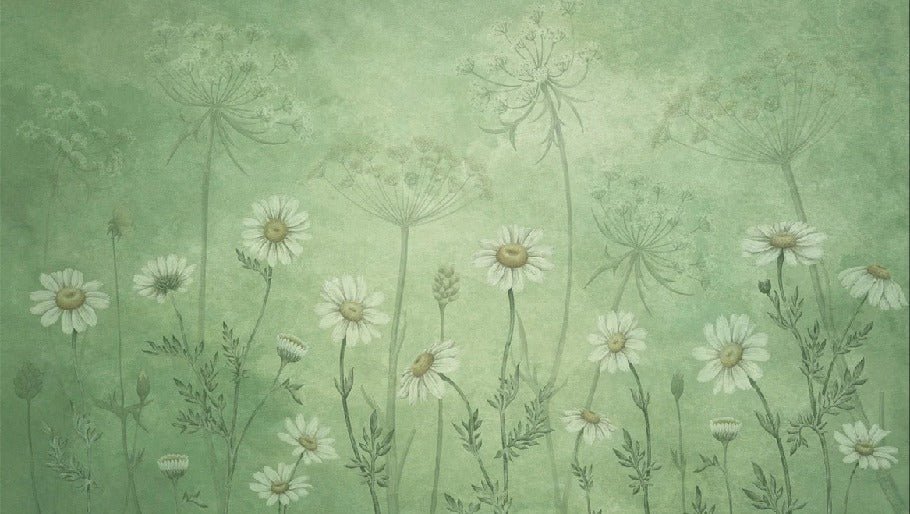 Papier peint marguerites sauvages, XXL, tendance