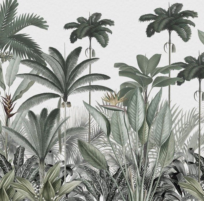Papier peint panoramique jungle tree