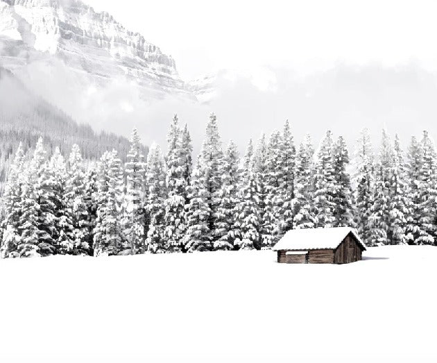 Papier peint panoramique chalet en montagne