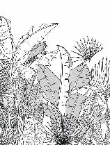 Papier peint panoramique noir et blanc botanic leaf