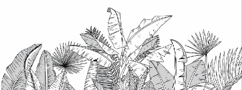 Papier peint panoramique noir et blanc botanic leaf