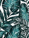 Papier peint wc intissé Feuille couleur Bleu Paon