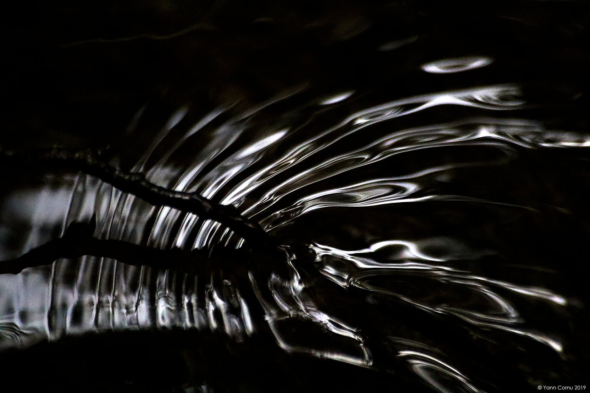 Papier peint au cœur de l'eau