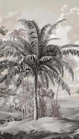 Papier peint paysage Célèbes noir et blanc, XXL, tendance