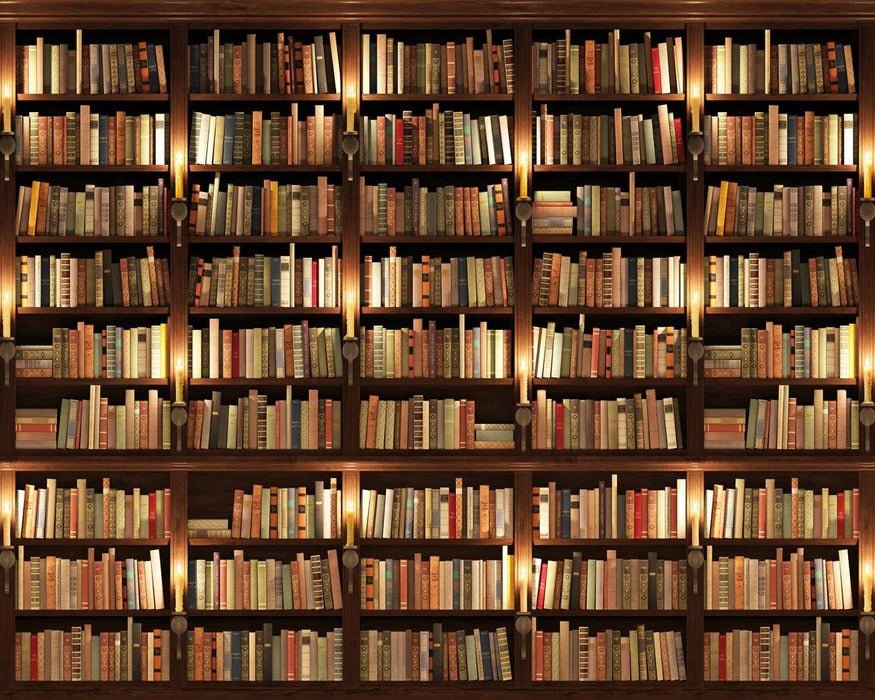 Papier peint trompe l'oeil Authentique Bibliothèque