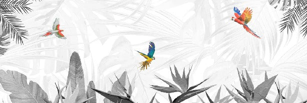 Papier peint noir et blanc oiseau du paradis, XXL, tendance