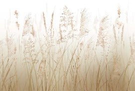 Papier peint fleur des champs de blé, XXL, tendance