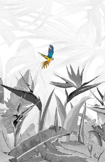 Papier peint noir et blanc oiseau du paradis, XXL, tendance