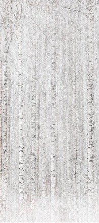 Papier peint forêt de bouleaux enveloppante