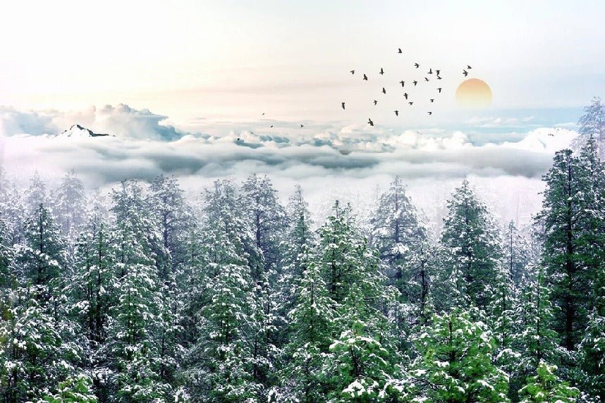 Papier peint panoramique intissé forêt de sapin neige