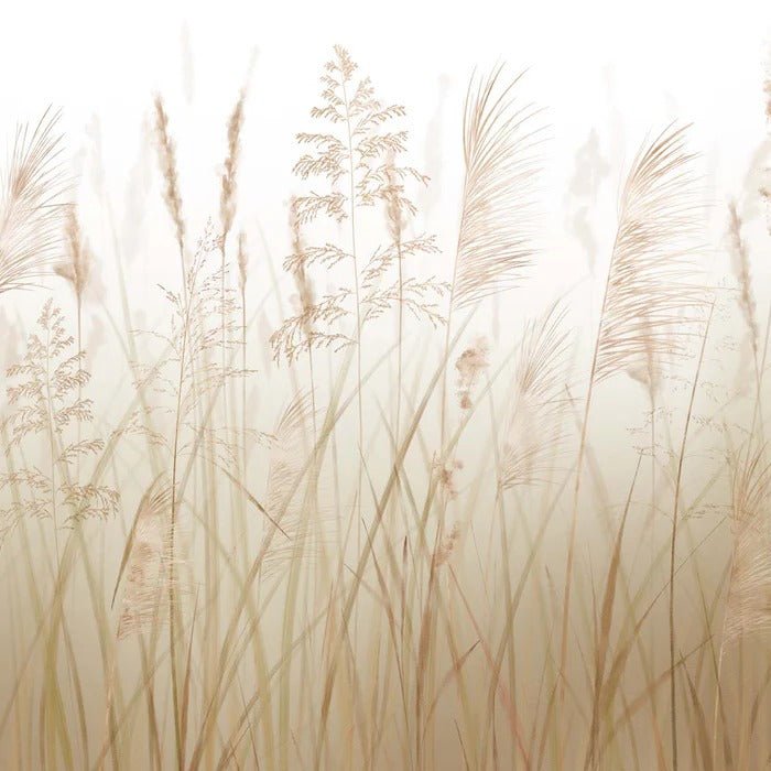 Papier peint fleur des champs de blé, XXL, tendance