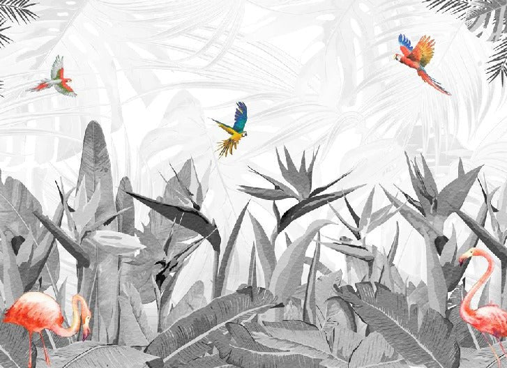 Papier peint noir et blanc oiseau du paradis