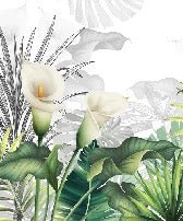 Papier peint wc nature lys blanche