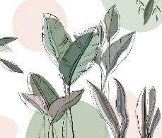 Papier peint panoramique végétal graphique vert, XXL, tendance
