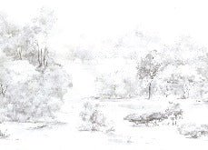 Papier peint forêt de pin aquarelle