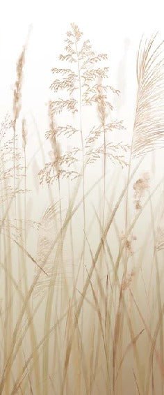 Papier peint fleur des champs de blé, XXL, tendance