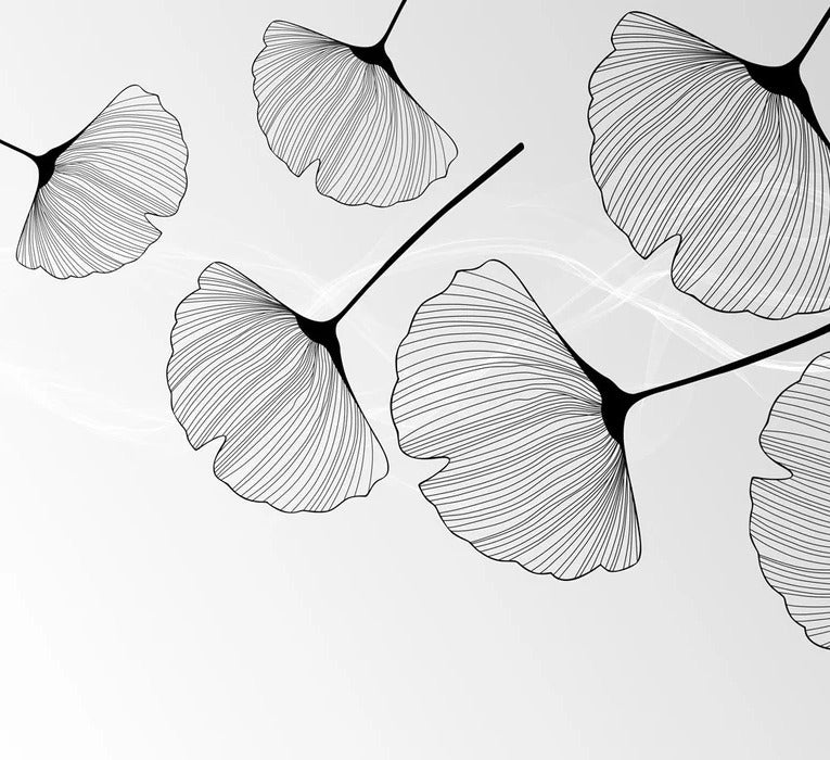 Papier peint panoramique tendance ginkgo noir, XXL, tendance