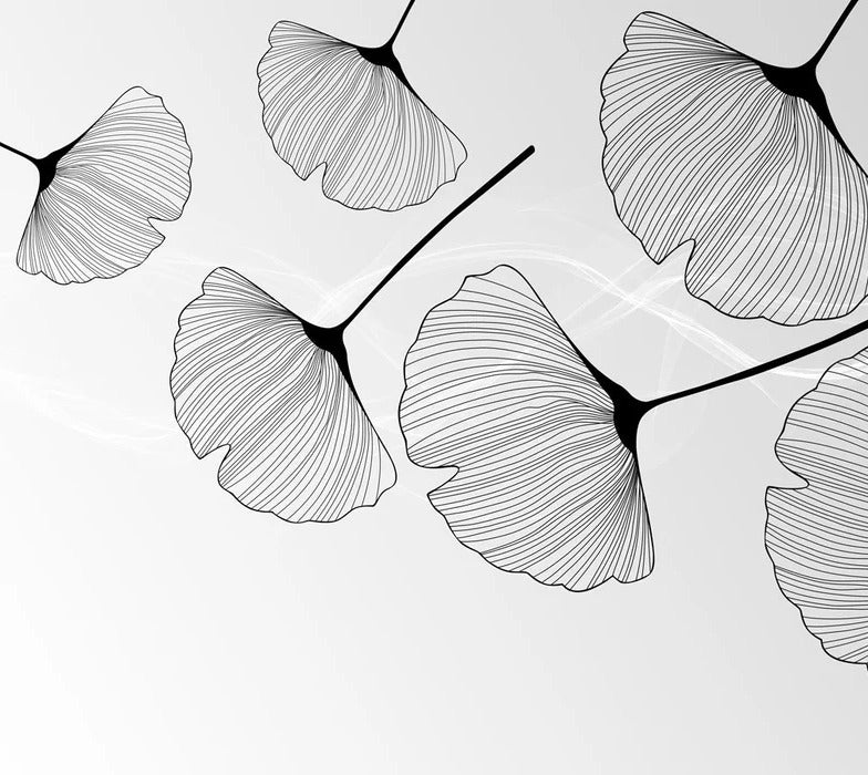Papier peint panoramique tendance ginkgo noir