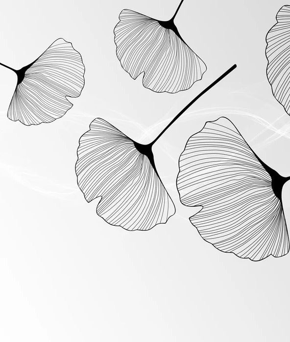 Papier peint panoramique tendance ginkgo noir