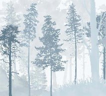 Papier peint panoramique forêt bleu scandinave