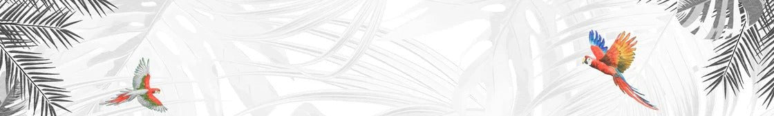 Papier peint noir et blanc oiseau du paradis