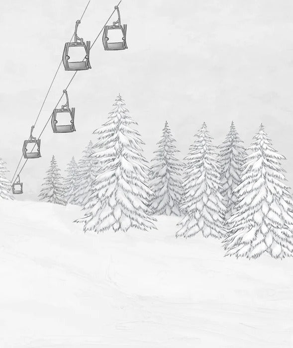 Papier peint montagne télécabine noir & blanc