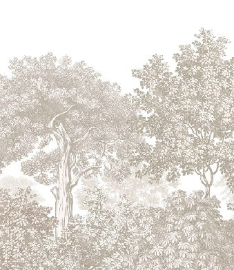 Papier peint paysage forêt gravure beige