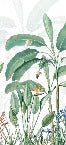 Papier peint panoramique tropicalis
