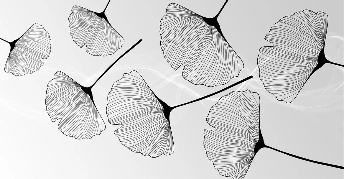 Papier peint panoramique tendance ginkgo noir