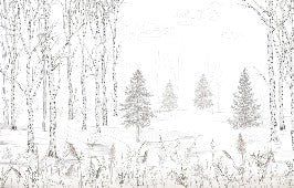 Papier peint noir et blanc douceur des bois