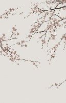 Papier peint panoramique Sakura beige, XXL, tendance