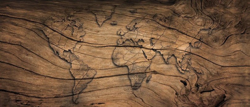 Papier peint Wood & Map, XXL, tendance