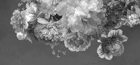 Papier peint fleur pivoine noir et blanc, XXL, tendance