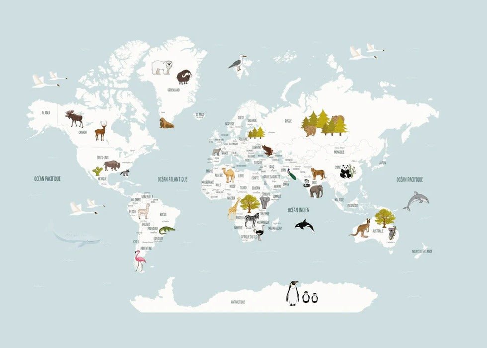 Papier peint Carte du monde en Francais enfant bleu glacier, XXL, tendance