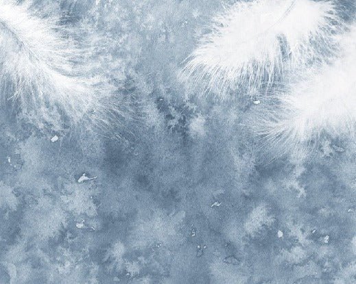 Papier peint Plume Blanche