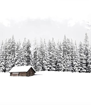 Papier peint panoramique chalet en montagne
