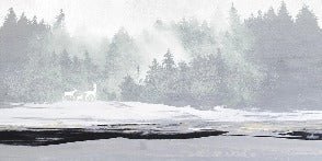 Papier peint forêt brumeuse et cerfs