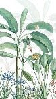Papier peint panoramique tropicalis