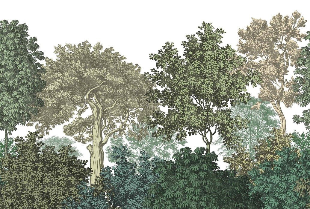 Papier peint restaurant paysage forêt gravure, XXL, tendance