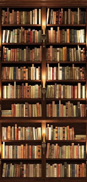 Papier peint trompe l'oeil Authentique Bibliothèque