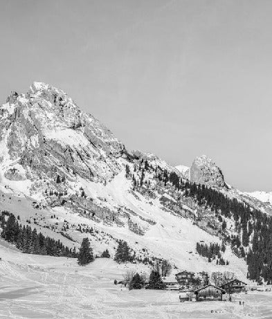 Papier peint panoramique chalet alpage