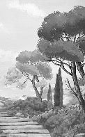 Papier peint balade dans les calanques noir et blanc